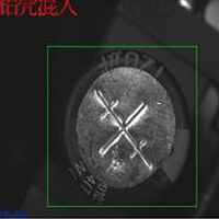 铝壳混入