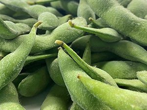 毛豆荚