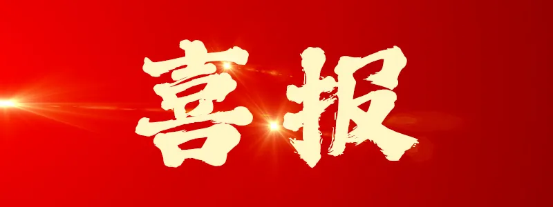 喜报！科亿科技荣获“安徽省大数据企业”