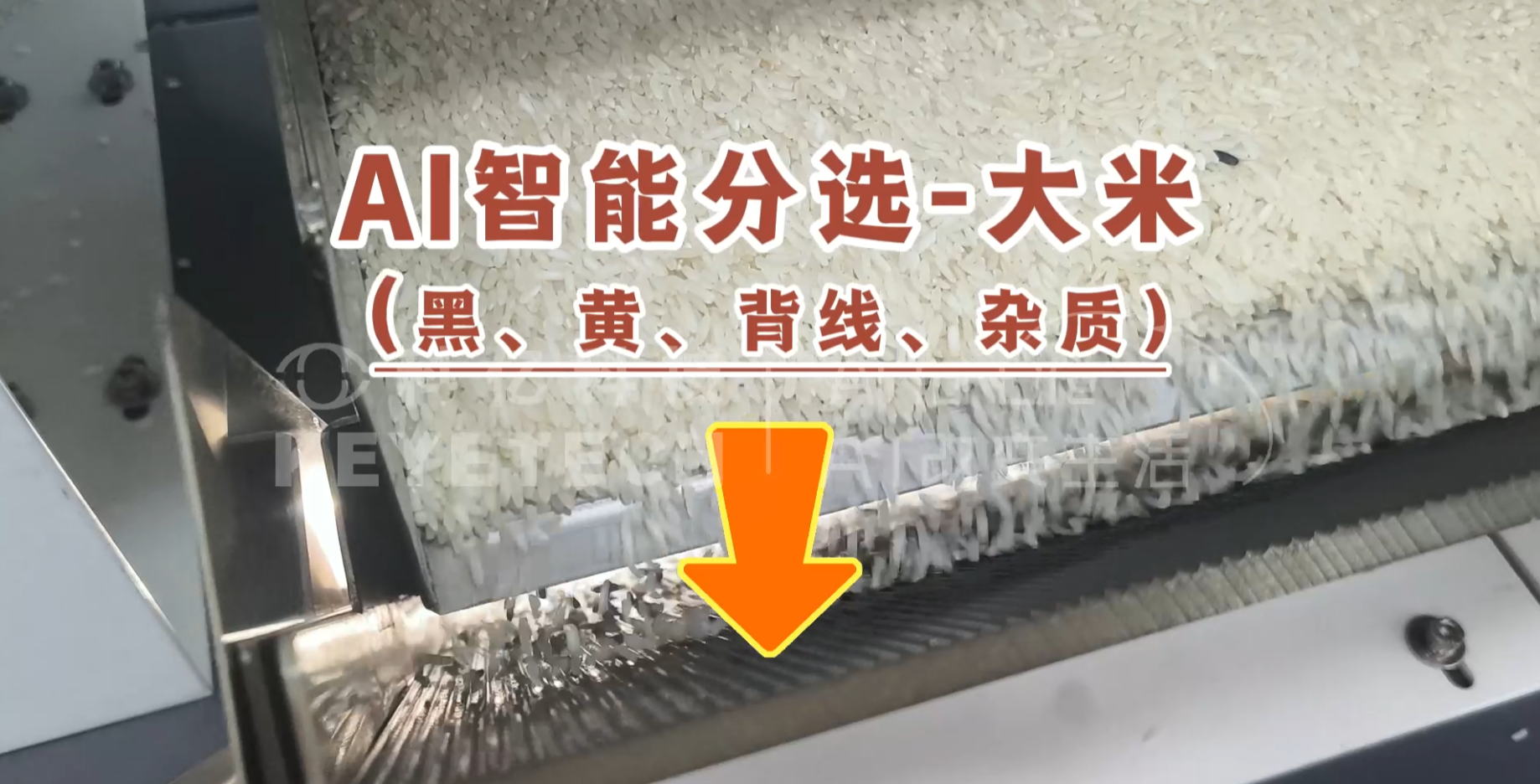 AI立式智能分选机-大米（选黑、背线、黄、杂质）
