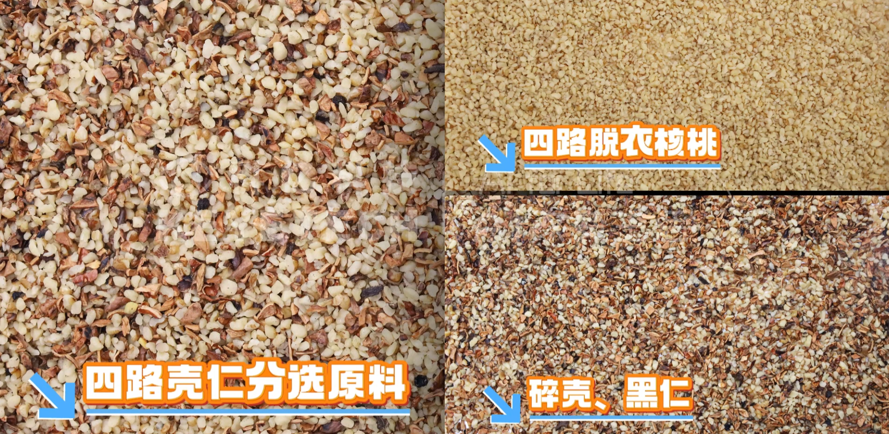 AI立式智能分选机-核桃仁（四路壳仁分选）