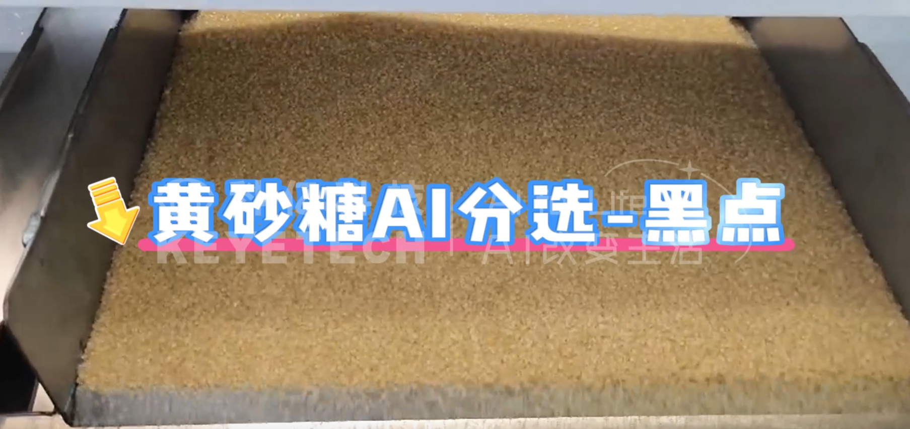 AI立式智能分选机-黄砂糖（黑点）
