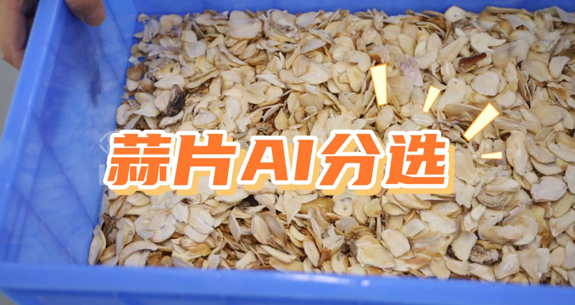 AI立式智能分选机-蒜片