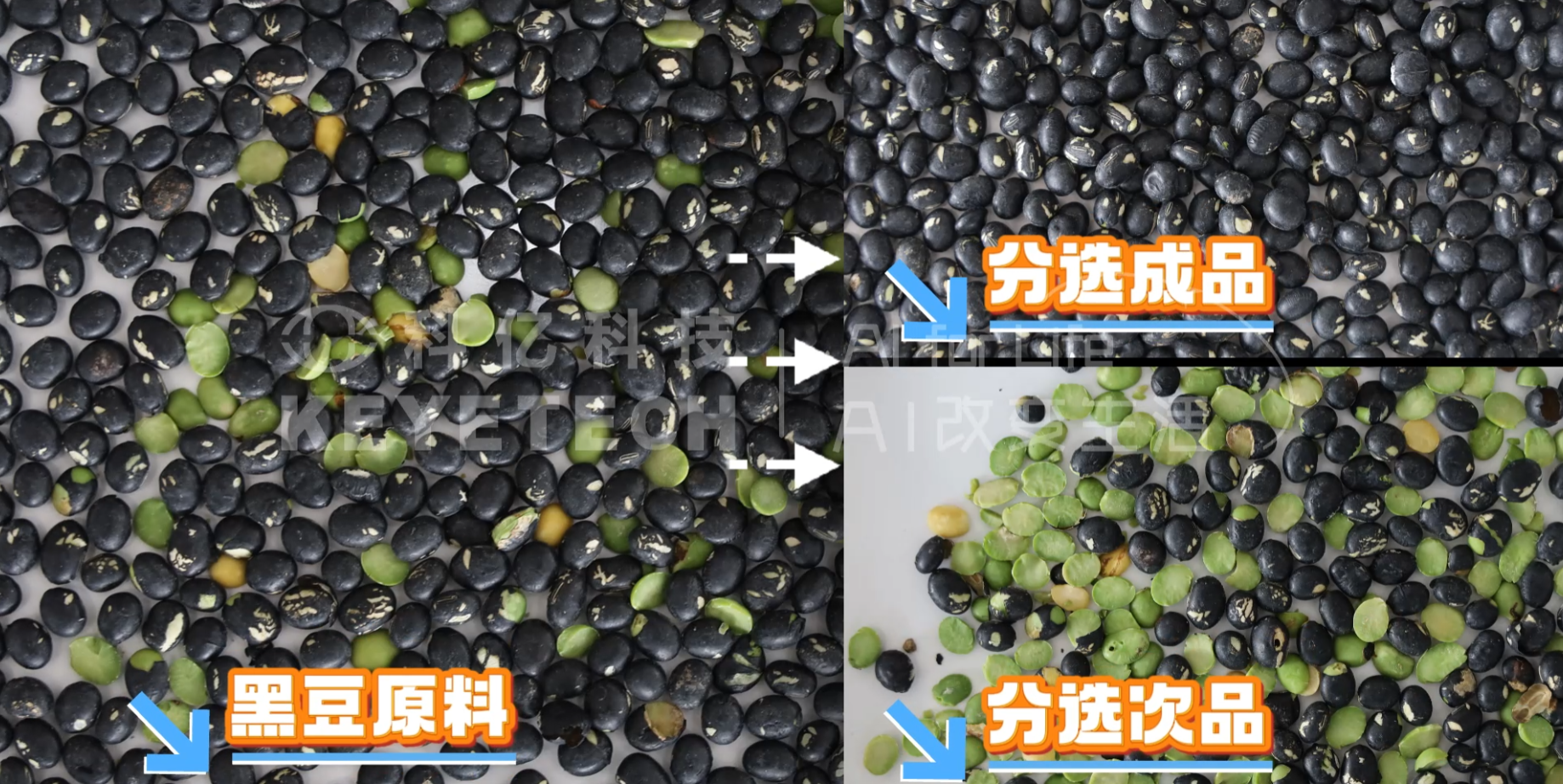 AI立式智能分选机-黑豆