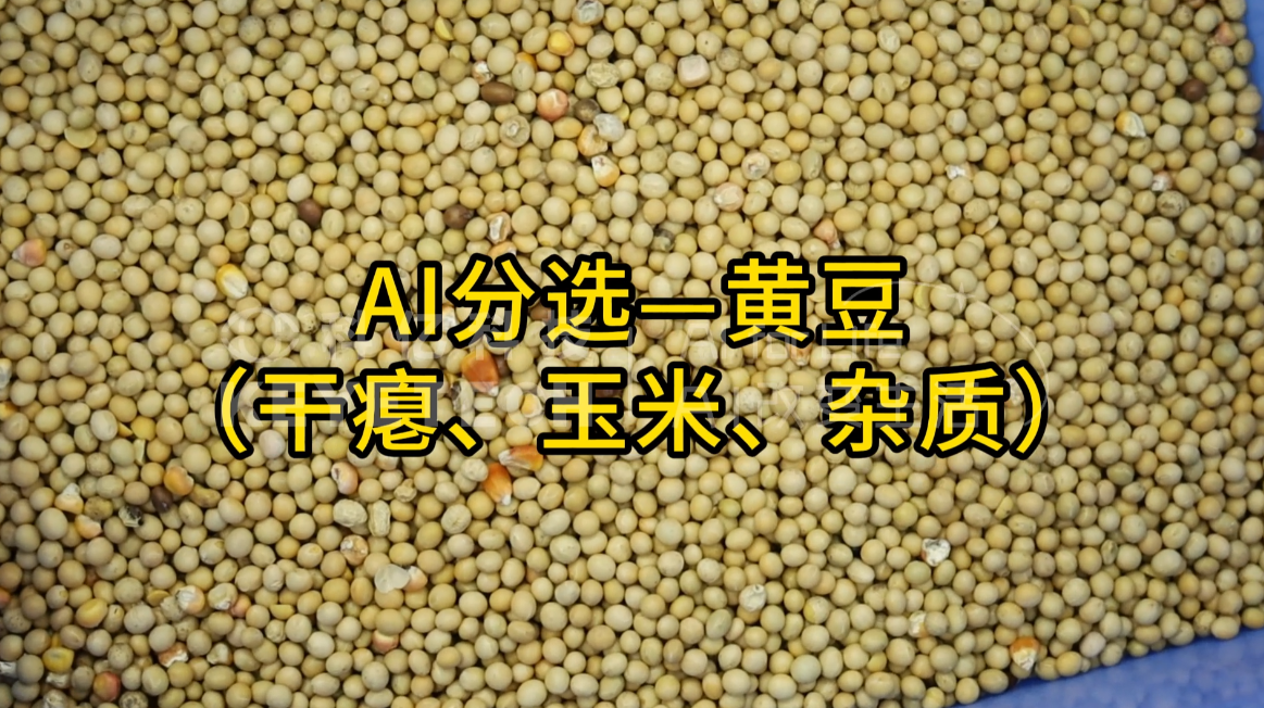 AI立式智能分选机-黄豆（干瘪、玉米、杂质）