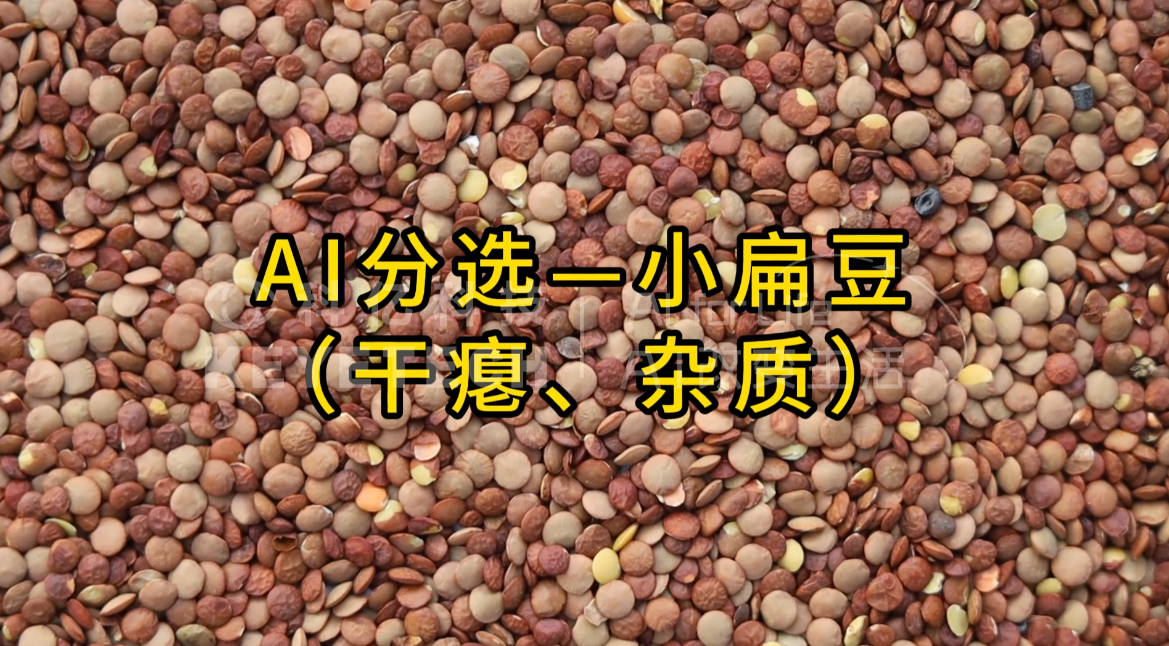 AI立式智能分选机-小扁豆（干瘪、杂质）