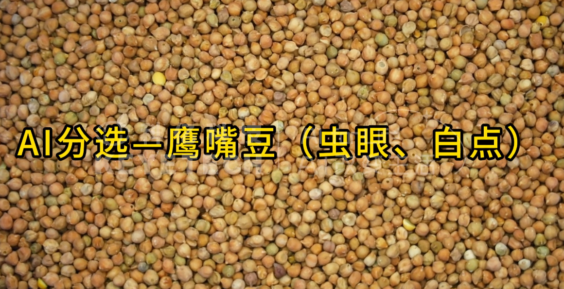 AI立式智能分选机-鹰嘴豆（虫眼、白点）