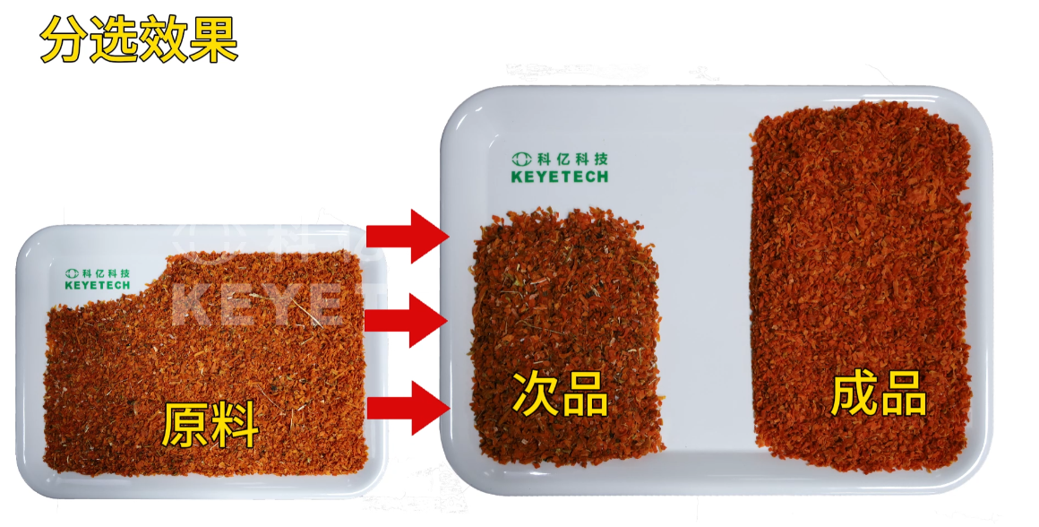 AI履带式分选机-胡萝卜