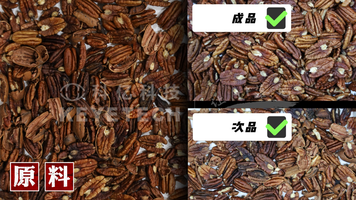 AI履带式分选机-碧根果（壳、霉变、一次分选）