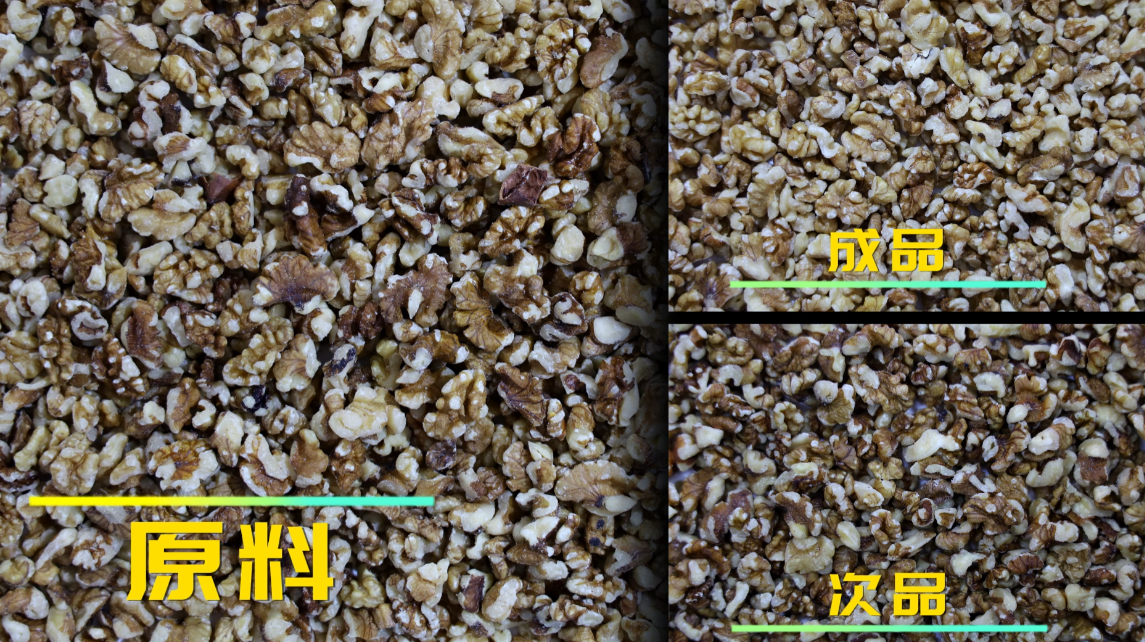 AI履带式分选机-核桃（带壳、黑仁）