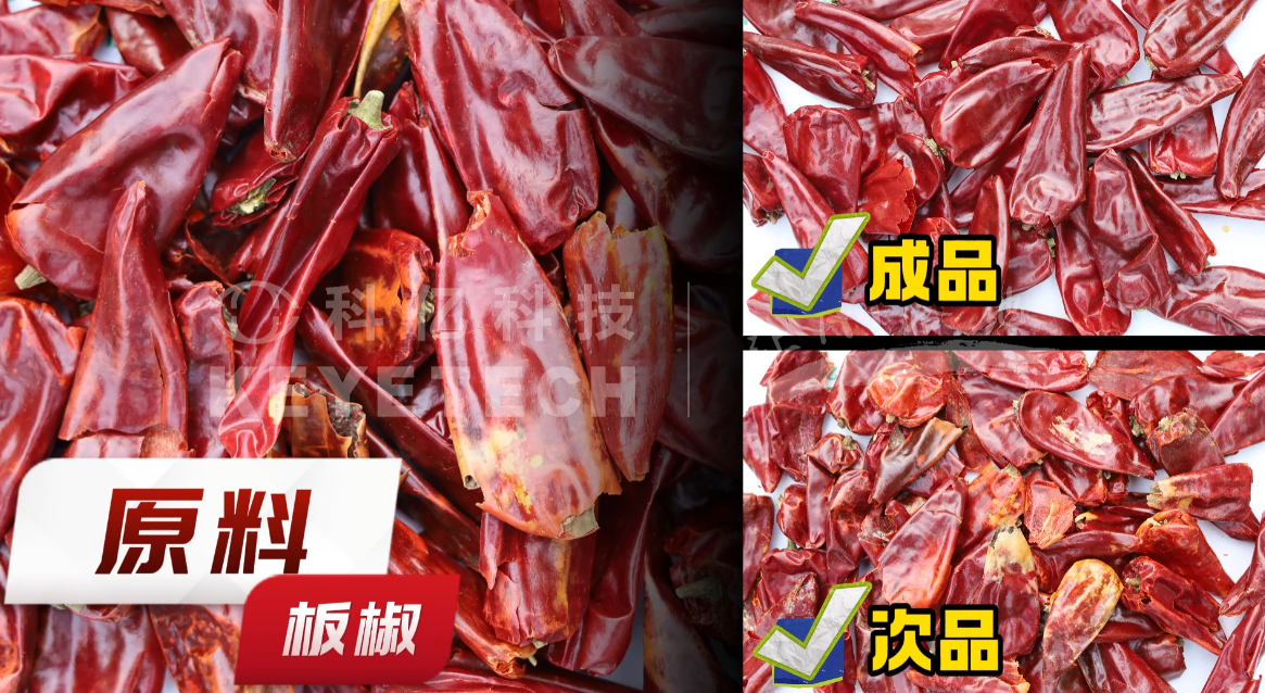 AI履带式分选机-板椒