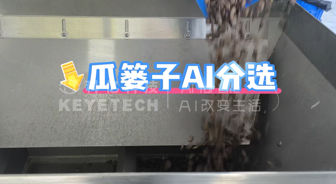 AI履带式分选机-瓜篓子（黑籽、白仁、破壳）