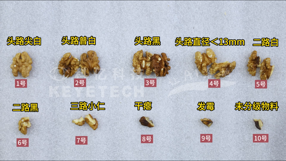 核桃分级机
