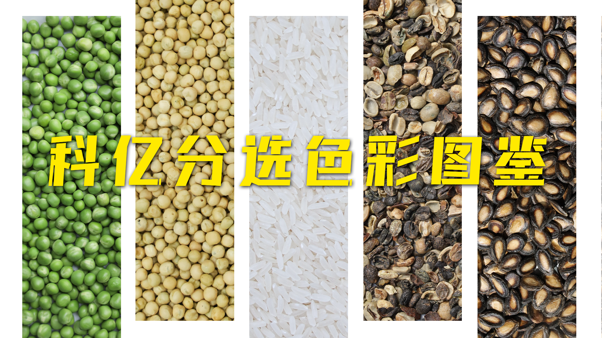 春色如许，AI智选|科亿科技物料分选色彩图鉴~