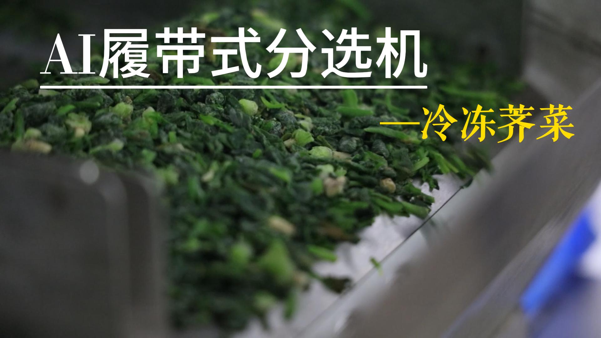 AI履带式分选机-冷冻荠菜