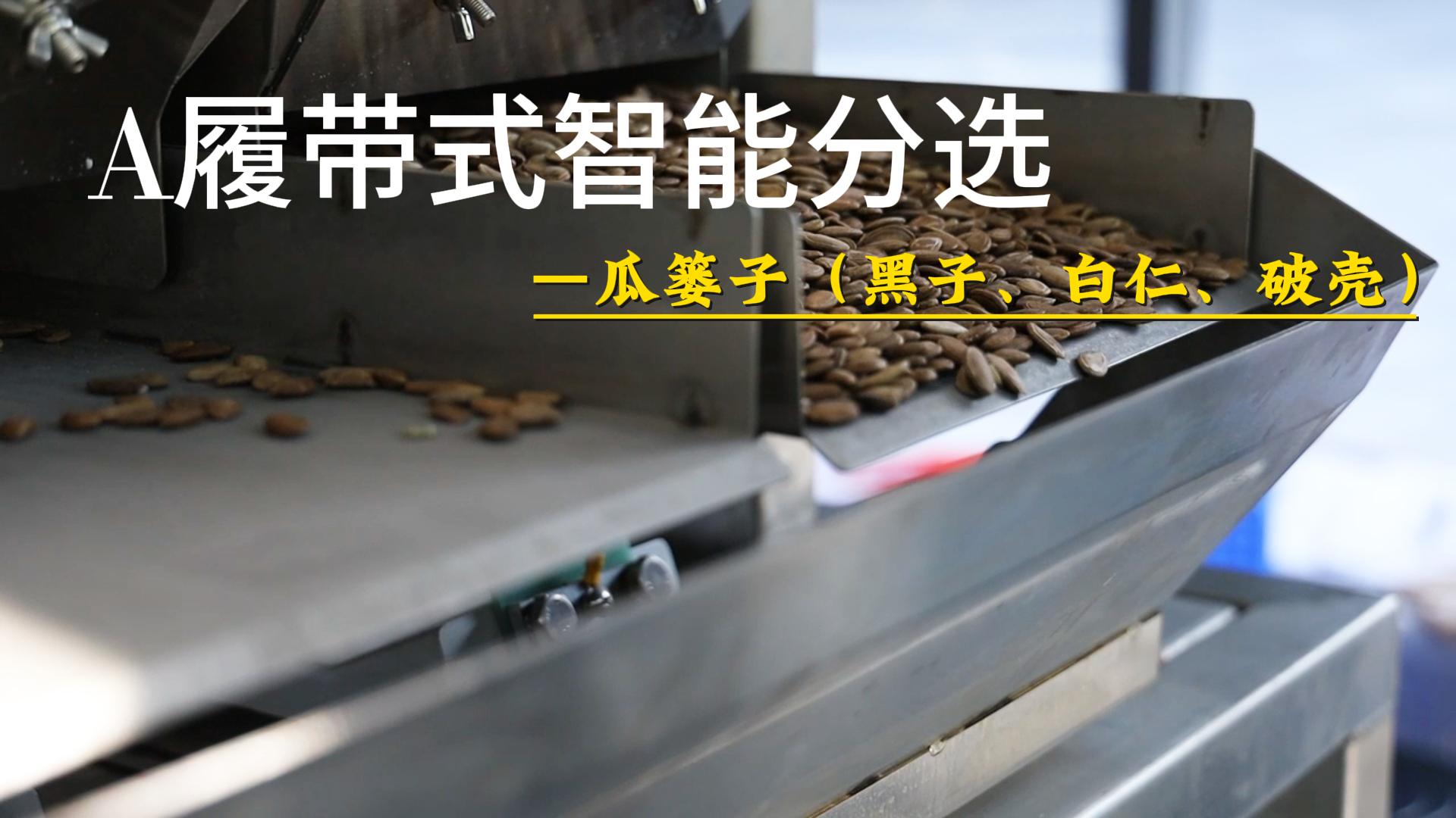 AI履带式分选机-瓜篓子（黑籽、白仁、破壳）