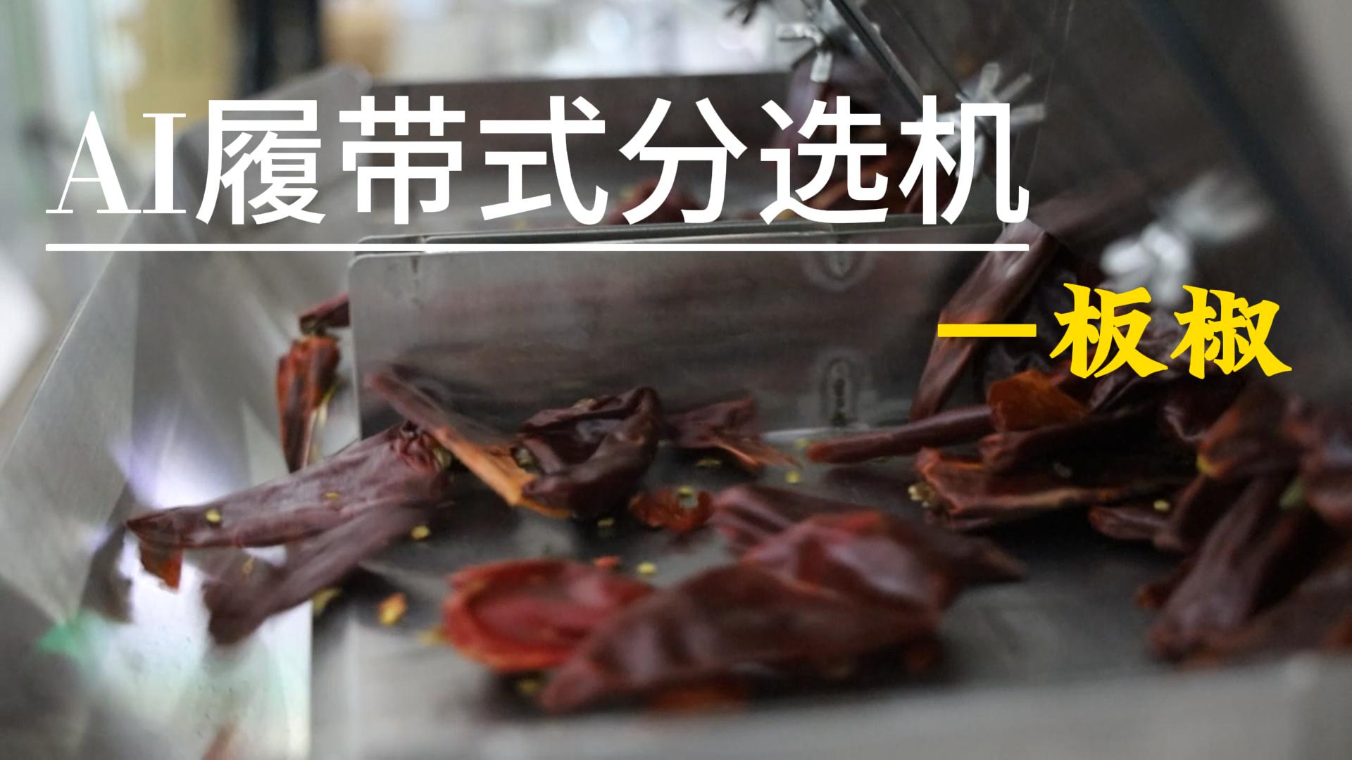 AI履带式分选机-板椒
