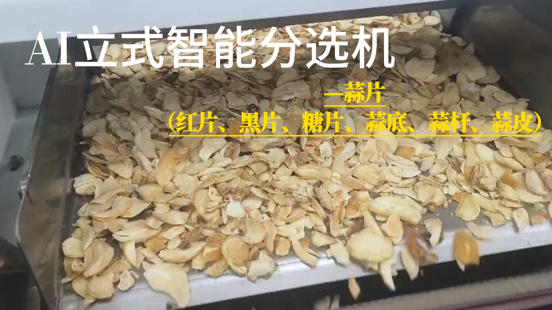 AI立式智能分选机-蒜片