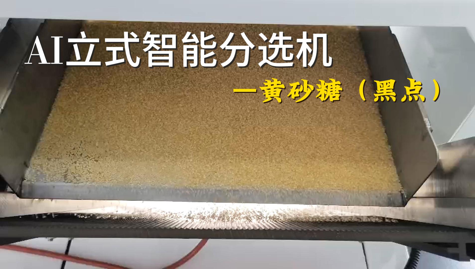 AI立式智能分选机-黄砂糖（黑点）
