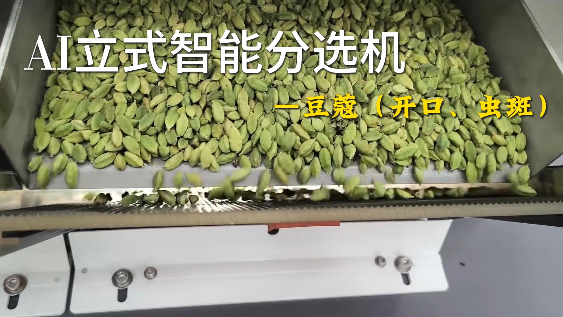 AI立式智能分选机-豆蔻（开口、虫斑）
