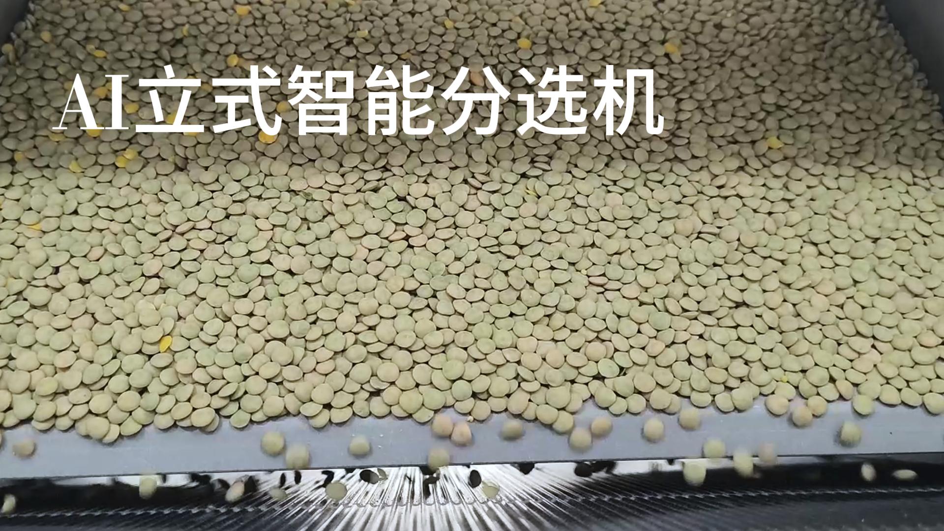 AI立式智能分选机-绿扁豆