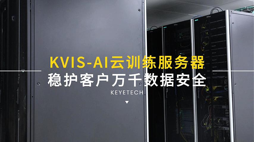 KVIS-AI云训练服务器