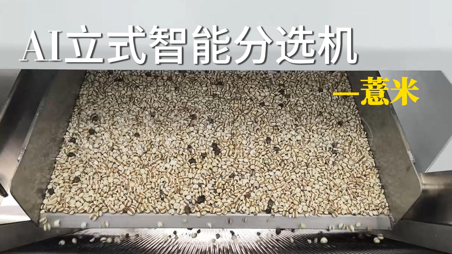 AI立式智能分选机-薏米