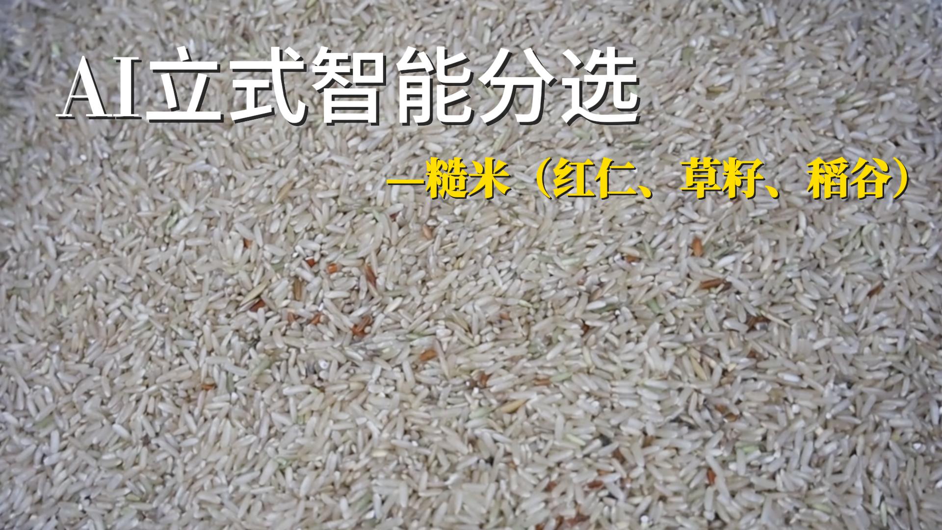 AI立式智能分选机--糙米（红仁、草籽、稻谷）
