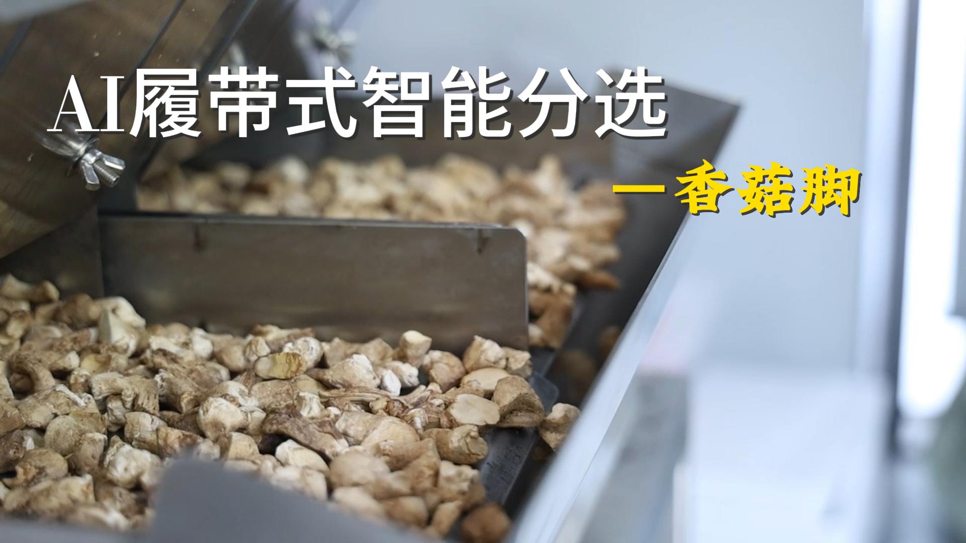 香菇脚