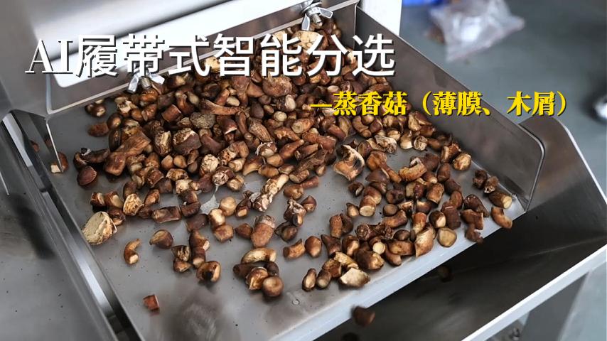 蒸香菇