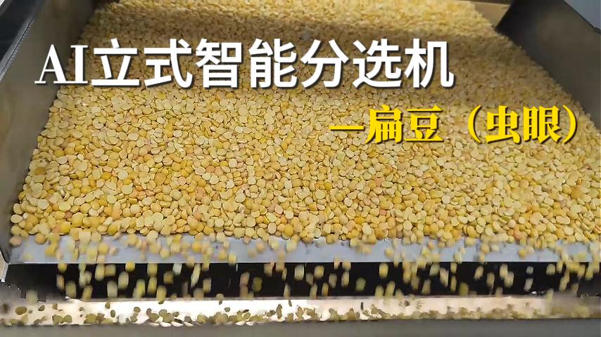 扁豆