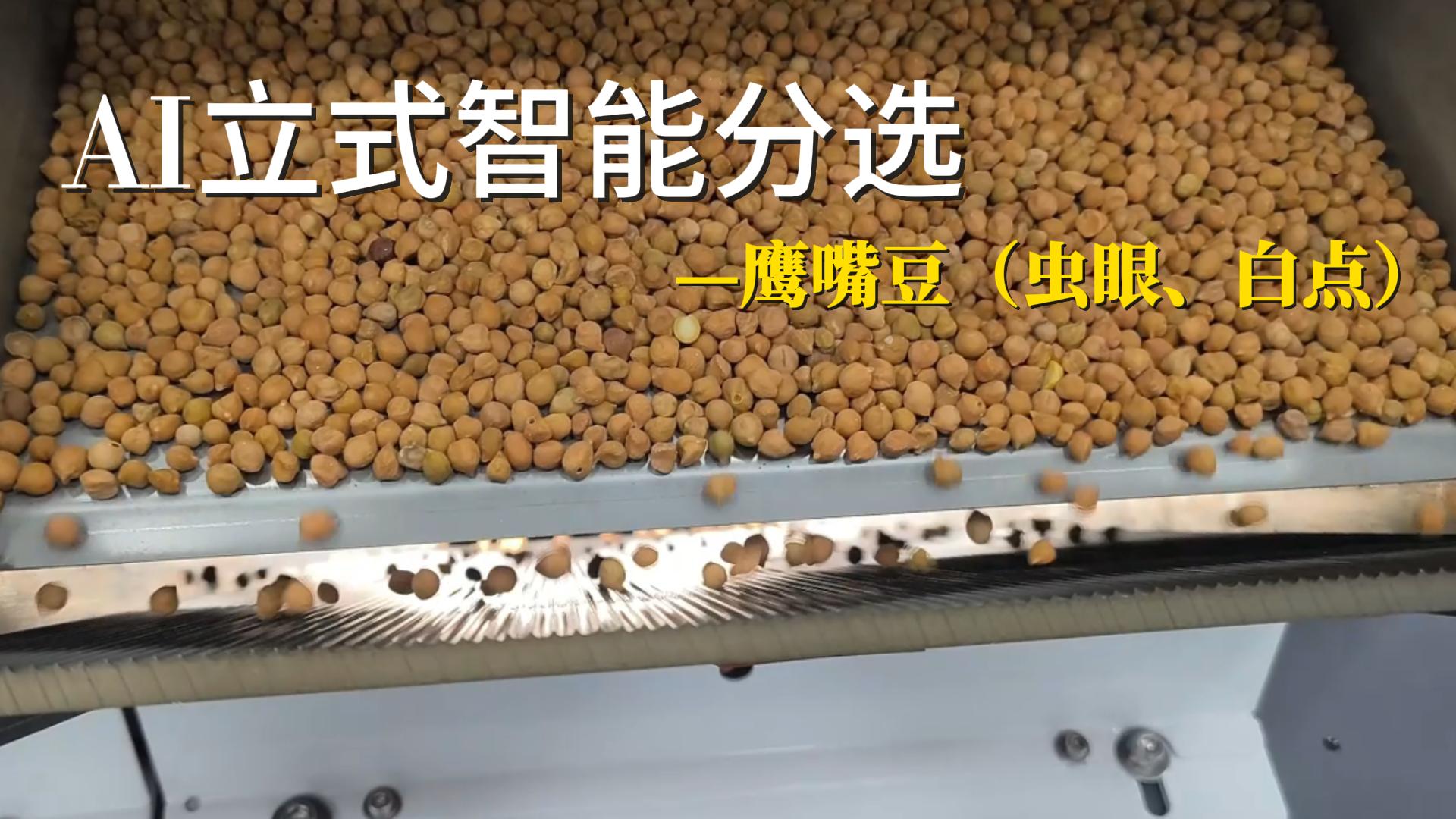 鹰嘴豆