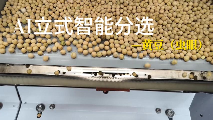 黄豆