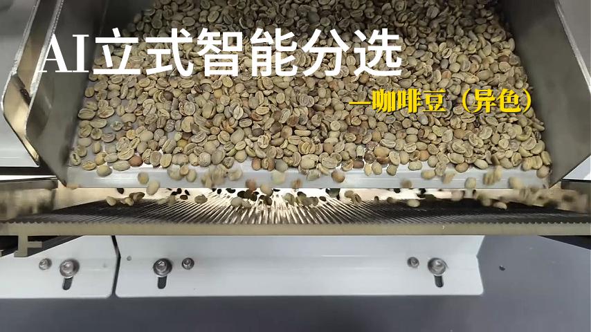 咖啡豆（异色）