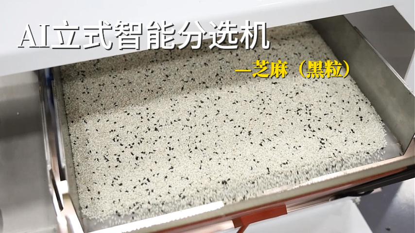 芝麻（黑粒）